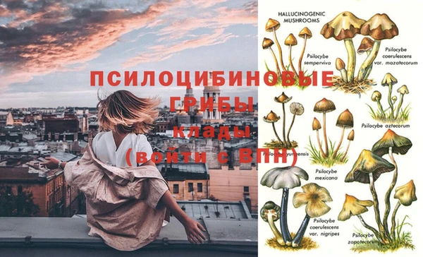 гашиш Белокуриха